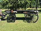 The Casket Wagon